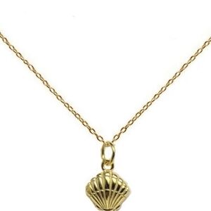 Skosh Gold Shell Pendant Necklace On Sterling Silver